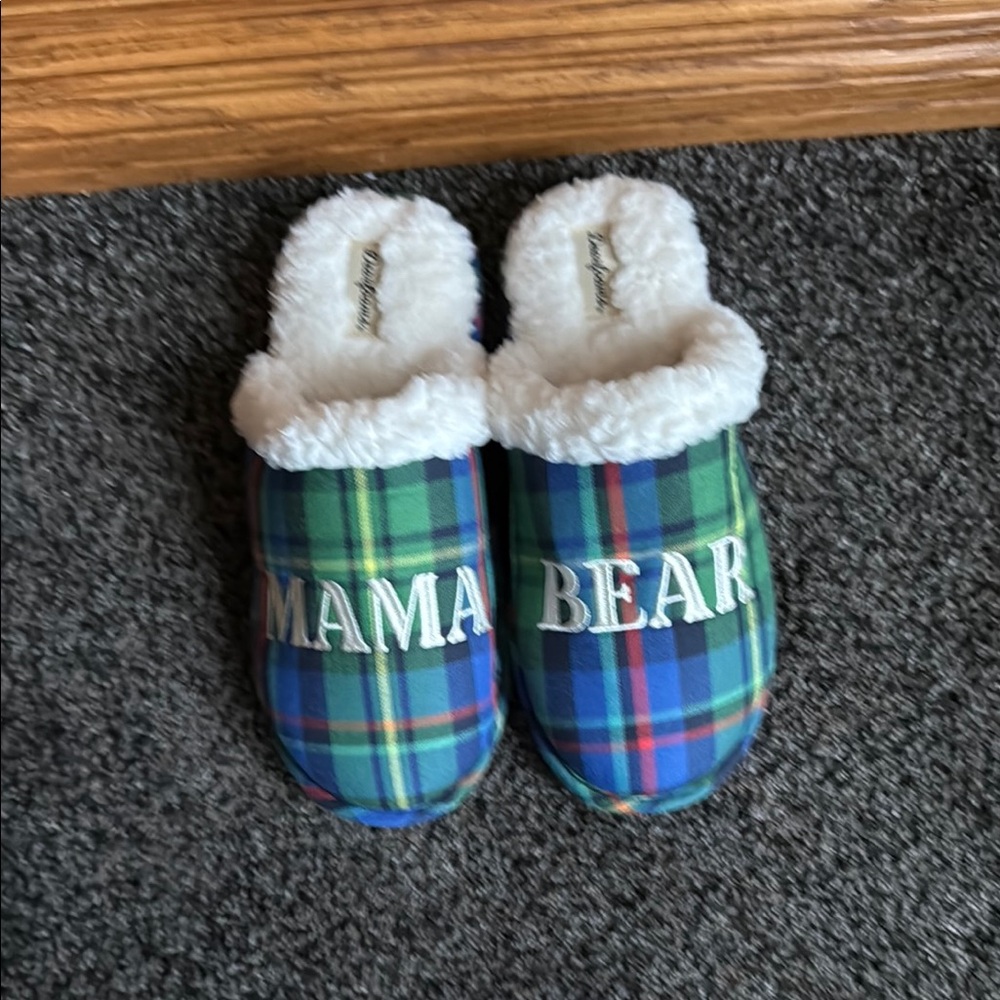 Plaid Ladies Slippers - Blue and Green. Size large, new, never worn.